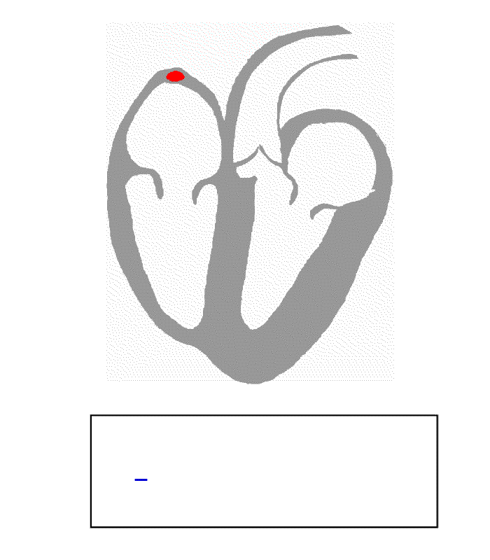 Dia do Cardiologista