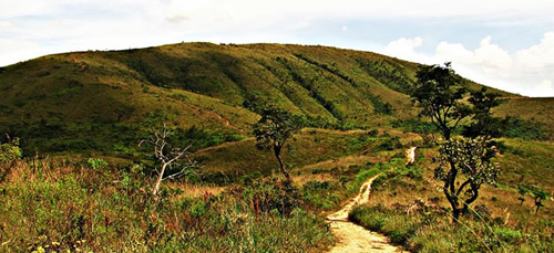 Dia Nacional do Cerrado Dia Nacional do Cerrado