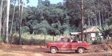Chevrolet C 10