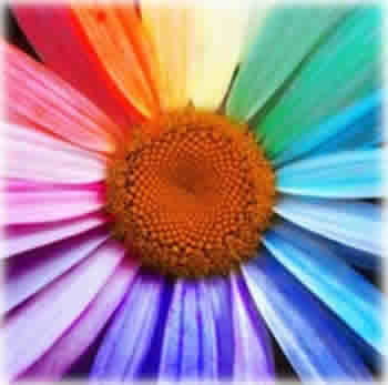 Cores na Decoração Cores na Decoração