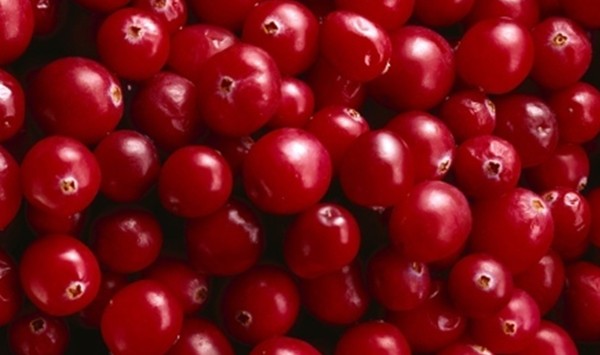 Fitoterápicos: Cranberry