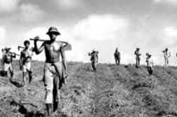 Dia da Reforma Agrária