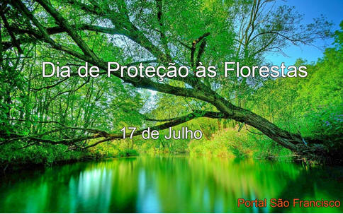 Dia de Proteção às Florestas