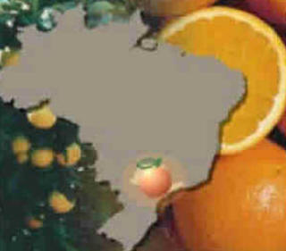 Dia do Citricultor