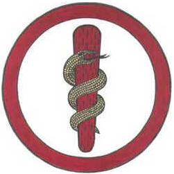 Dia do Dentista