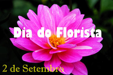 Dia do Florista
