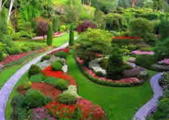 Dia do Jardineiro