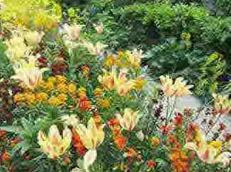 Dia do Jardineiro