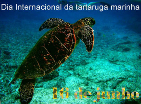 Dia Internacional da Tartaruga Marinha