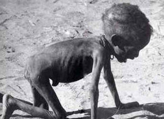 Dia Mundial da Alimentação