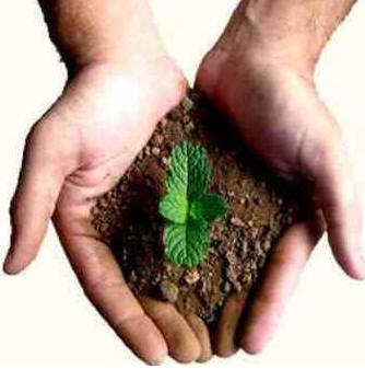 Dia Mundial do Meio Ambiente