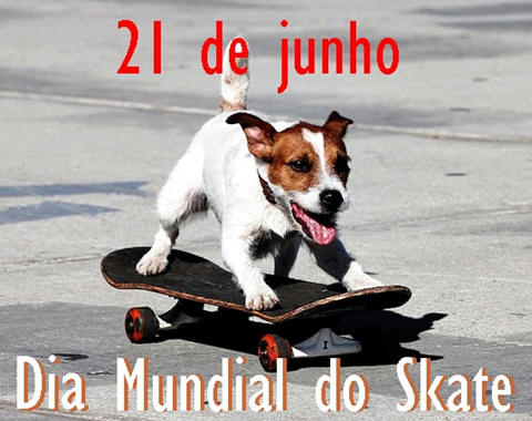 Dia Mundial do Skate