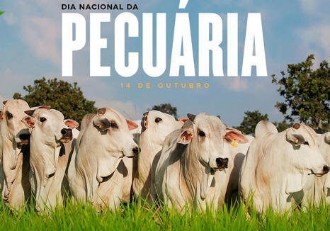 Dia Nacional da Pecuária