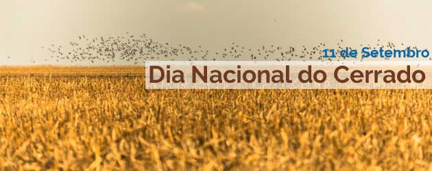 Dia Nacional do Cerrado