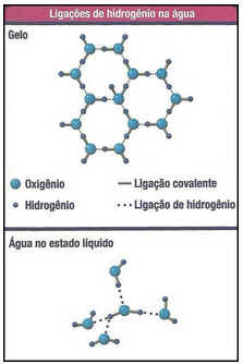 Forças Entre Moléculas Forças Entre Moléculas