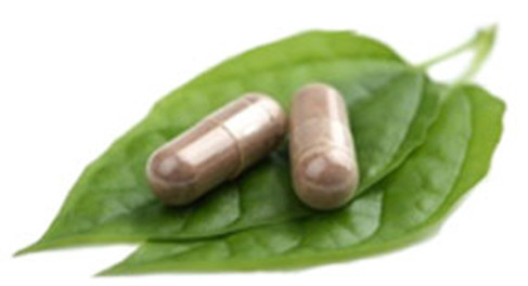 Fitoterápicos: Garcinia Cambogia