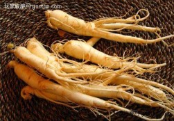 Ginseng Coreano Ginseng Coreano