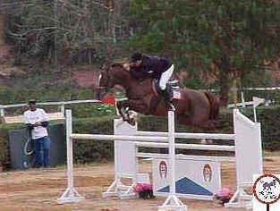 Hipismo Hipismo