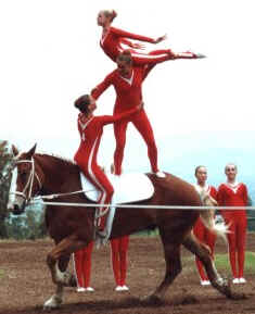 Hipismo Hipismo