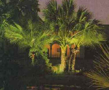 Iluminação de Jardim Iluminação de Jardim