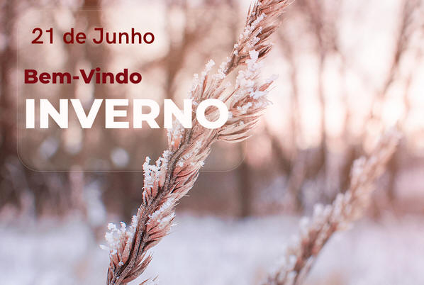 Dia do Início do Inverno