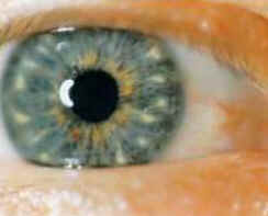 Iridologia