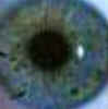 Iridologia