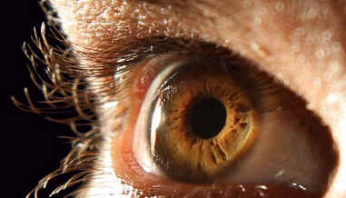Iridologia