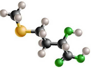 Medicina Ortomolecular