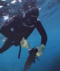 Modalidades de Pesca