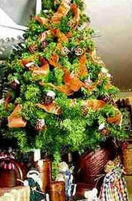 Natal