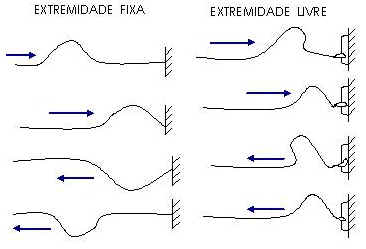 Ondulatória Ondulatória