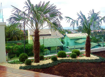 Paisagismo e Jardinagem