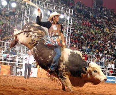 Dia do Peão de Boiadeiro Dia do Peão de Boiadeiro