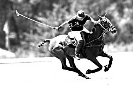 Pólo Equestre