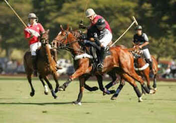 Pólo Equestre