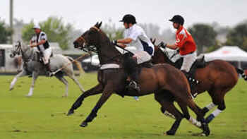 Pólo Equestre