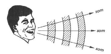 Tipos de Ondas