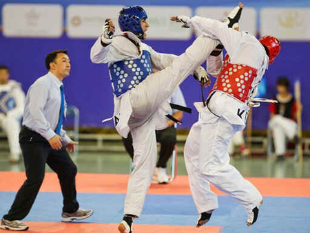 Taekwondo