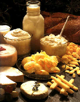 Whey Protein