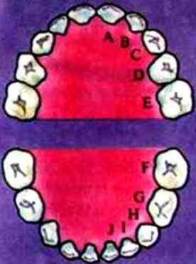 Dentes Dentes