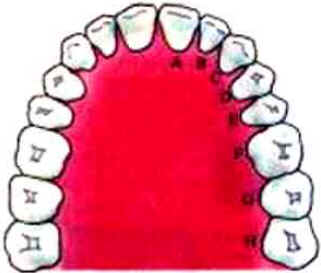 Dentes Dentes