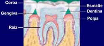 Dentes Dentes
