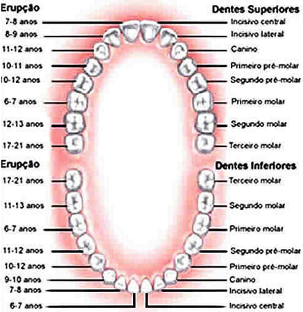Dentes Dentes