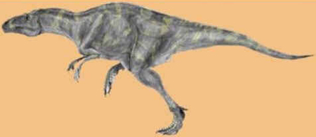 Acrocantossauro Acrocantossauro