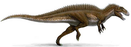 Acrocantossauro Acrocantossauro
