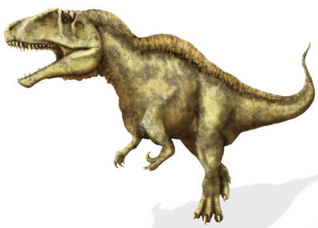 Acrocantossauro Acrocantossauro