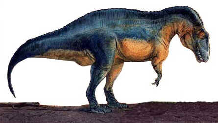 Acrocantossauro Acrocantossauro