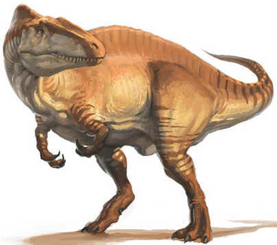 Acrocantossauro Acrocantossauro
