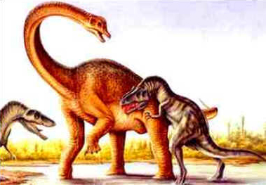 Acrocantossauro Acrocantossauro